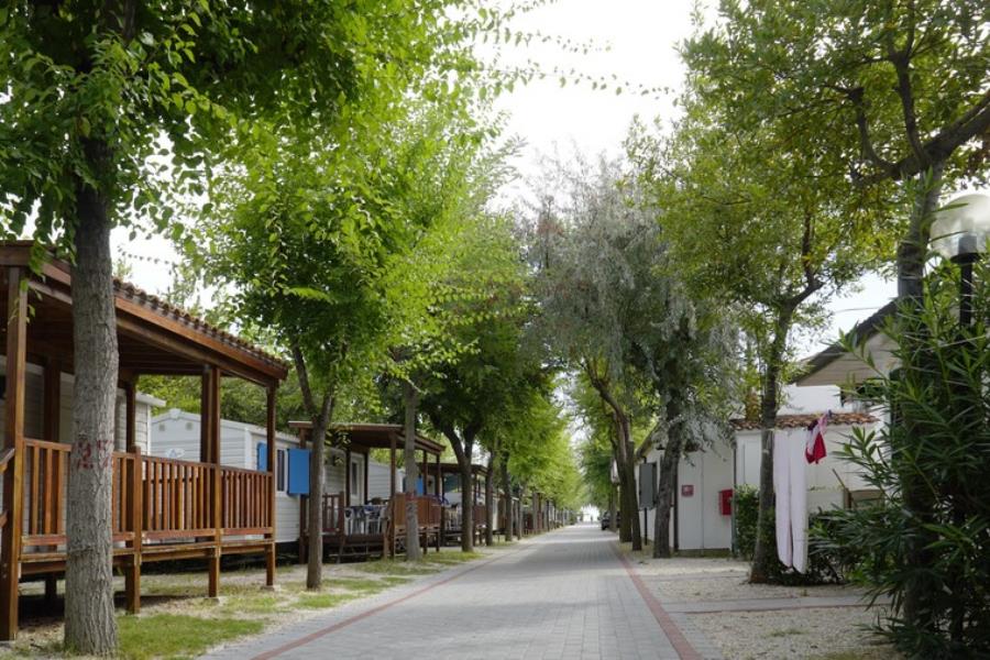 Camping Village Adriatico – foto 2