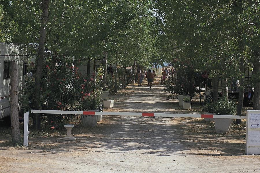 Camping Free Beach  – foto 4