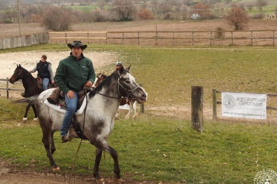 Tenuta il guerriero Agricampeggio Capestrano  – foto 3