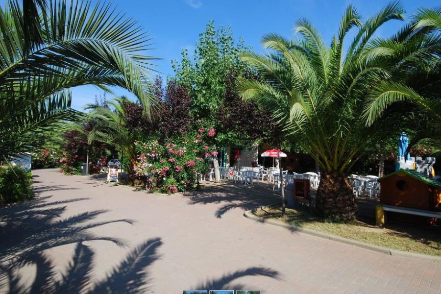 Camping Carouan  – foto 9