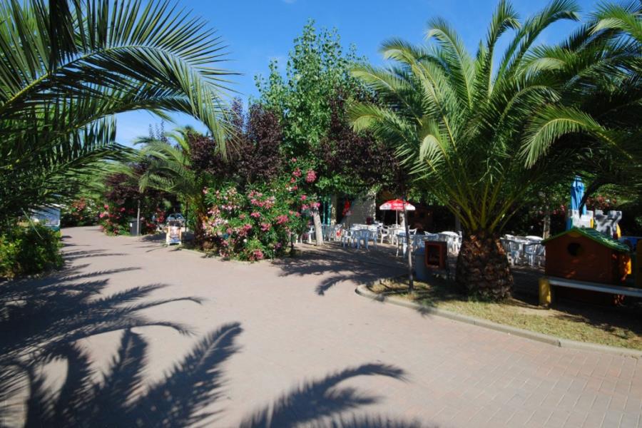 Camping Carouan  – foto 4