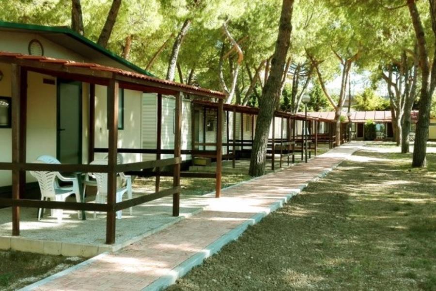 Villaggio Camping Costa d´Argento  – Foto 10