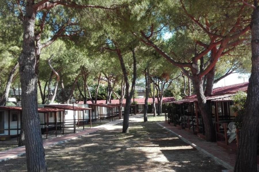 Villaggio Camping Costa d´Argento  – Foto 4
