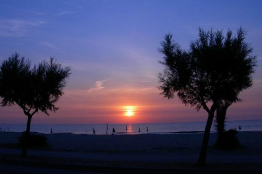 Camping delle Rose 