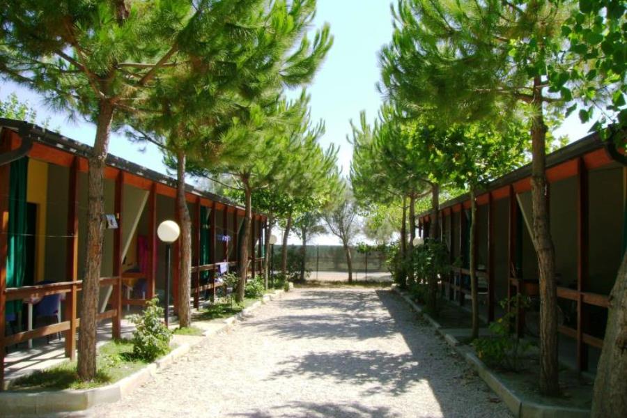 Camping delle Rose  – foto 3