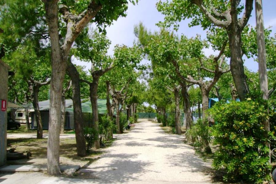 Camping delle Rose  – foto 5
