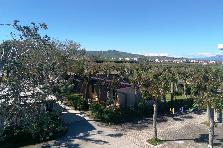 Camping delle Rose  – foto 8