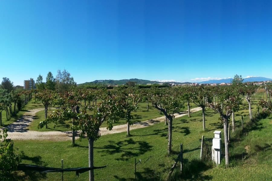 Camping delle Rose  – foto 9