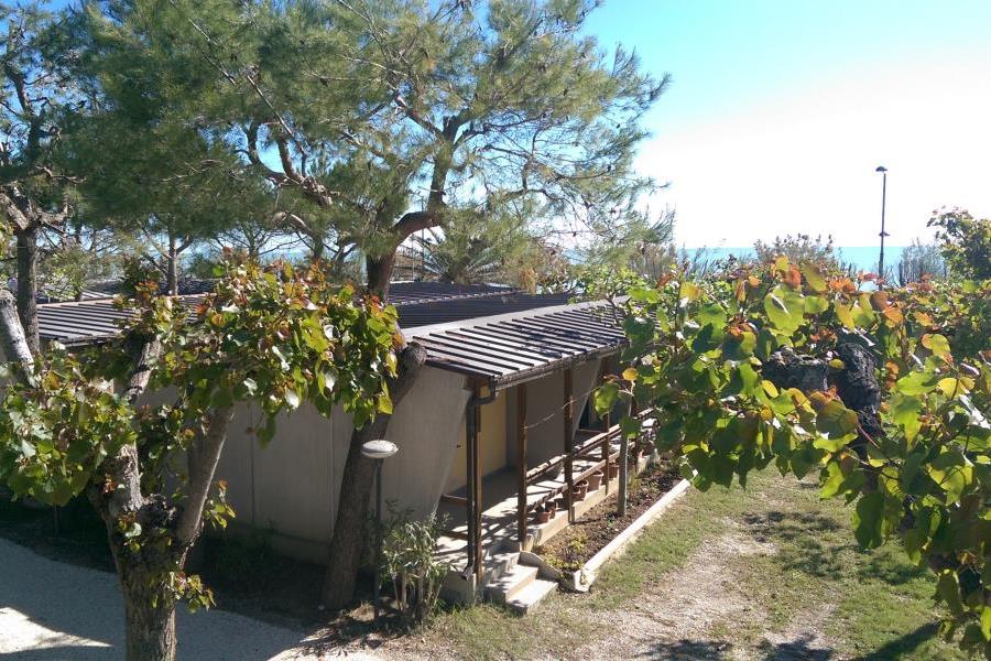 Camping delle Rose  – foto 12