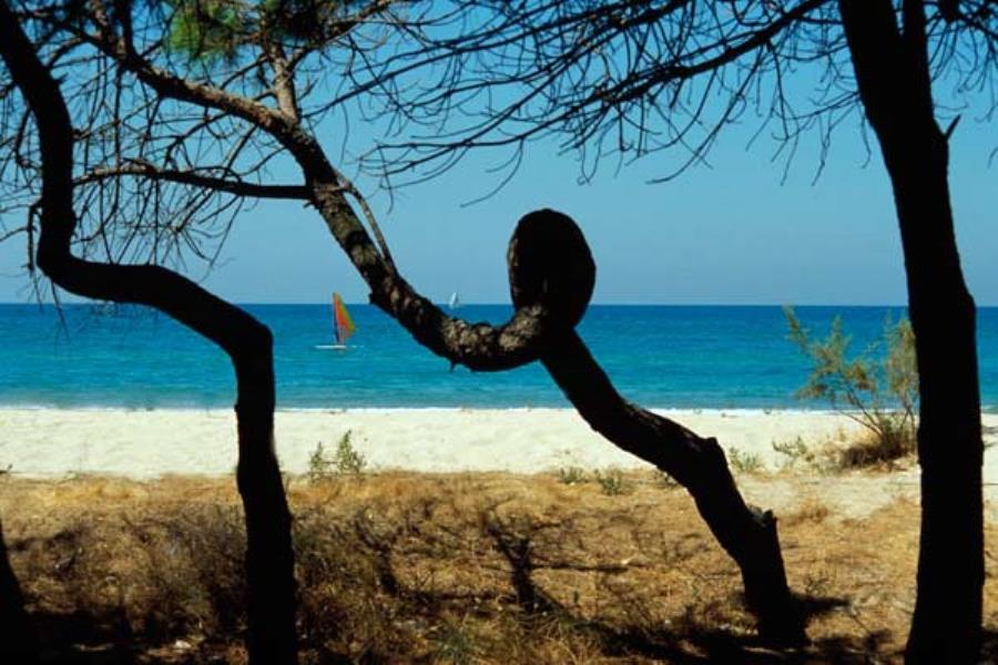 International Camping Torre Cerrano – foto 3