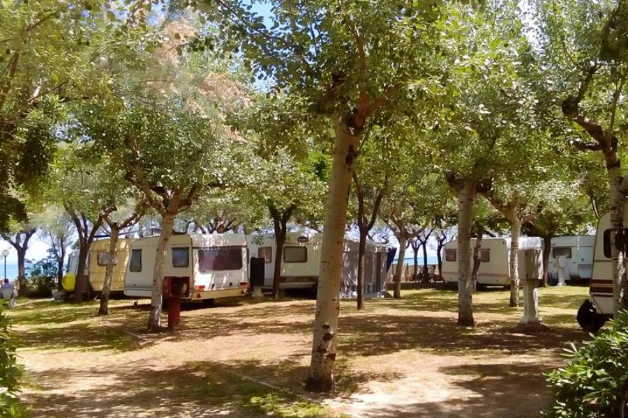 International Camping Torre Cerrano – foto 5