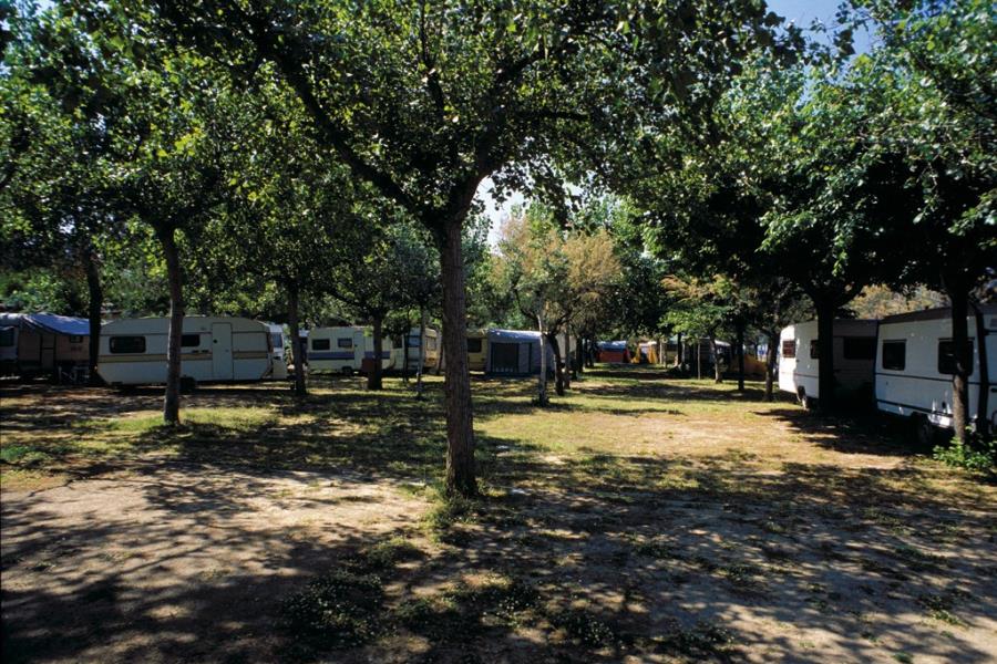 International Camping Torre Cerrano – foto 9
