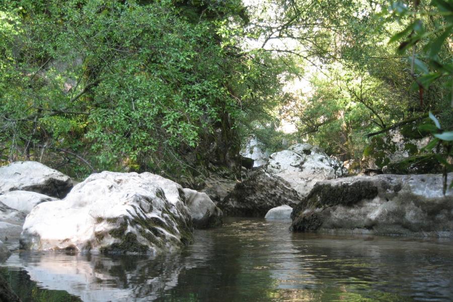 Campeggio Le Foci  – foto 5