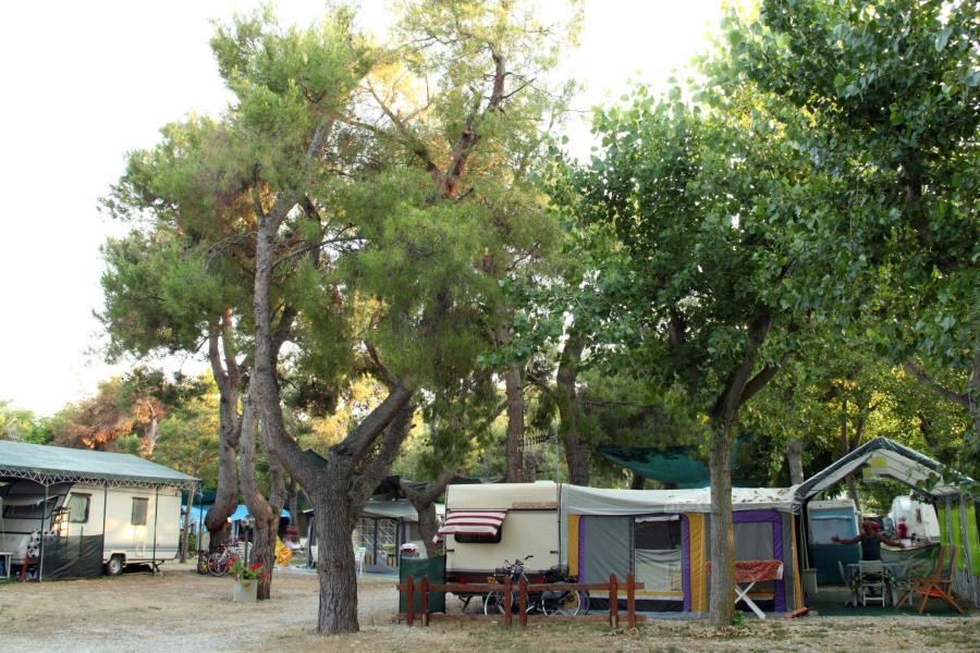 Pineto Beach Camping & Village – foto 8