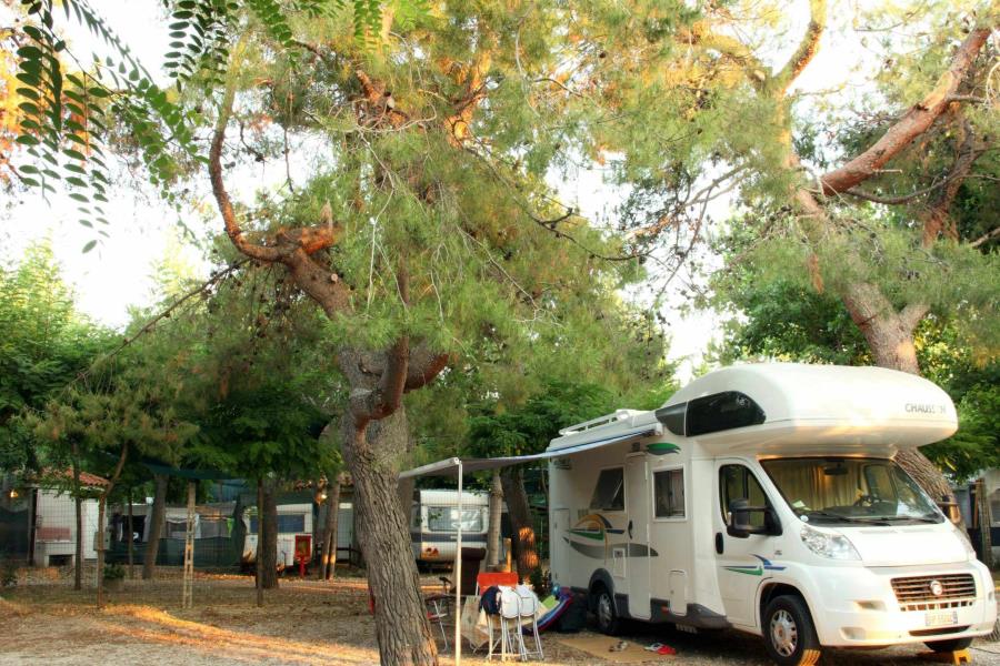 Pineto Beach Camping & Village – foto 9