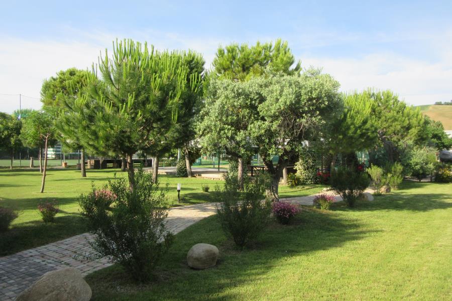 Pineto Beach Camping & Village – foto 20