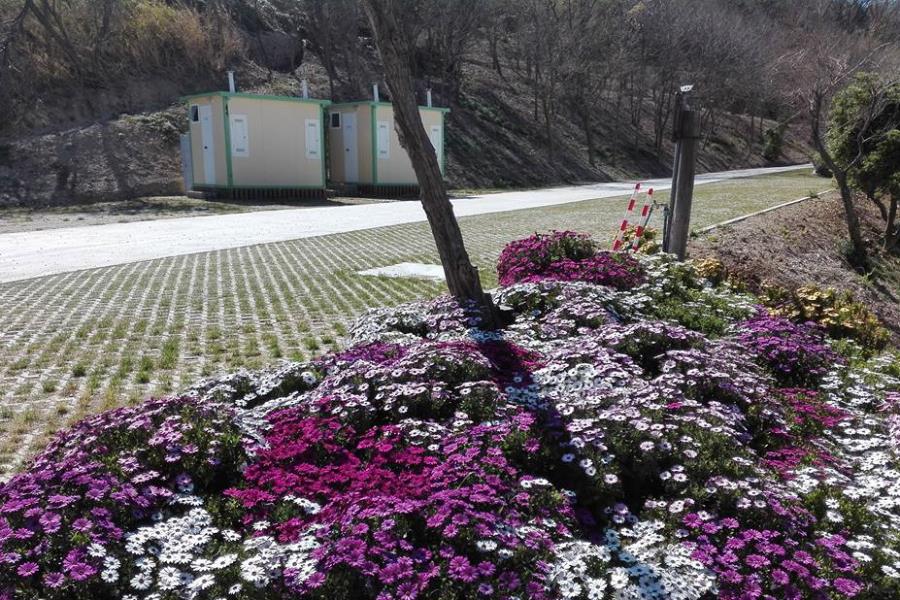 Camping Ripari di Giobbe  – foto 16