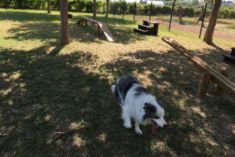 Stork Family Camping Village – foto 7