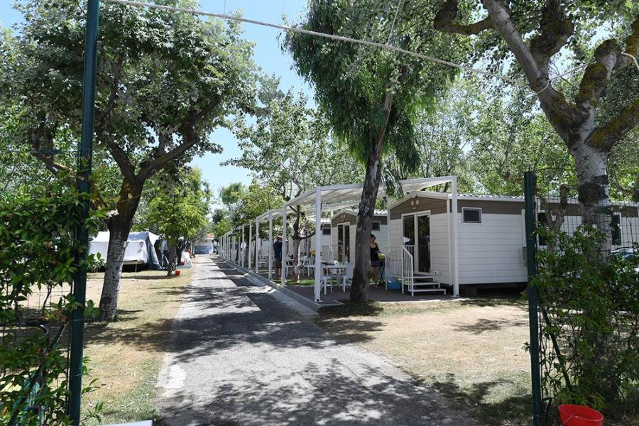 Camping Surabaja - La Playa  – foto 2