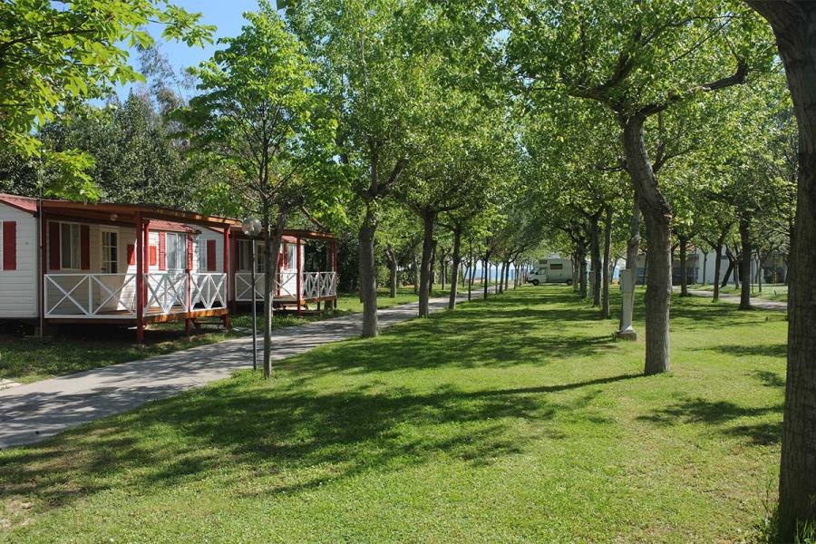 Camping Surabaja - La Playa  – foto 4
