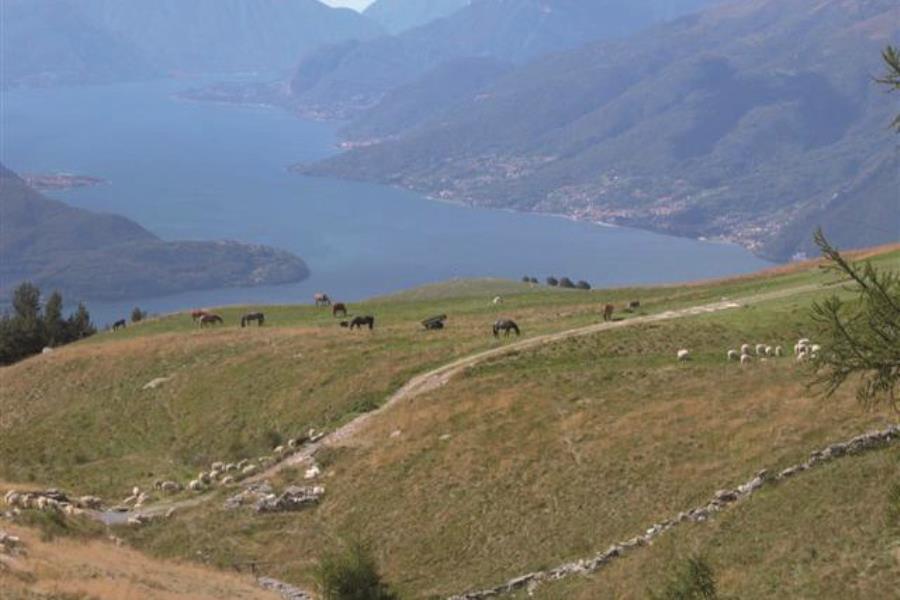 Hotel Ristorante Camping Au Lac de Como  – foto 3