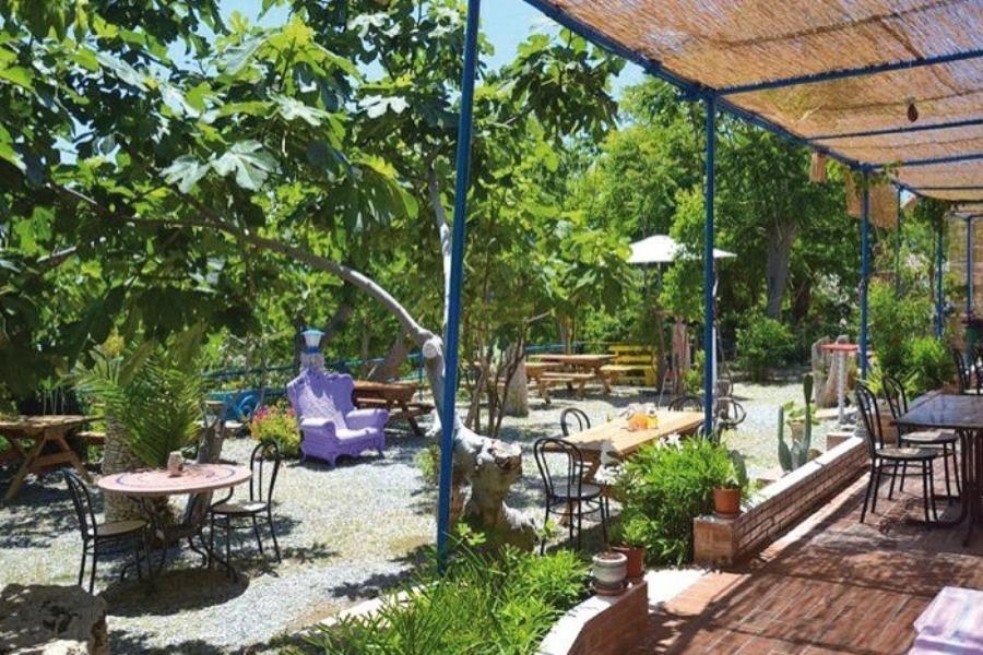 Alfier Camping – foto 5