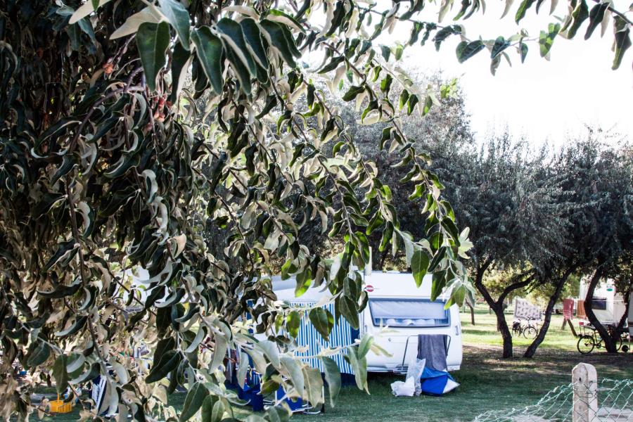 Camping Village Due Elle  – foto 6