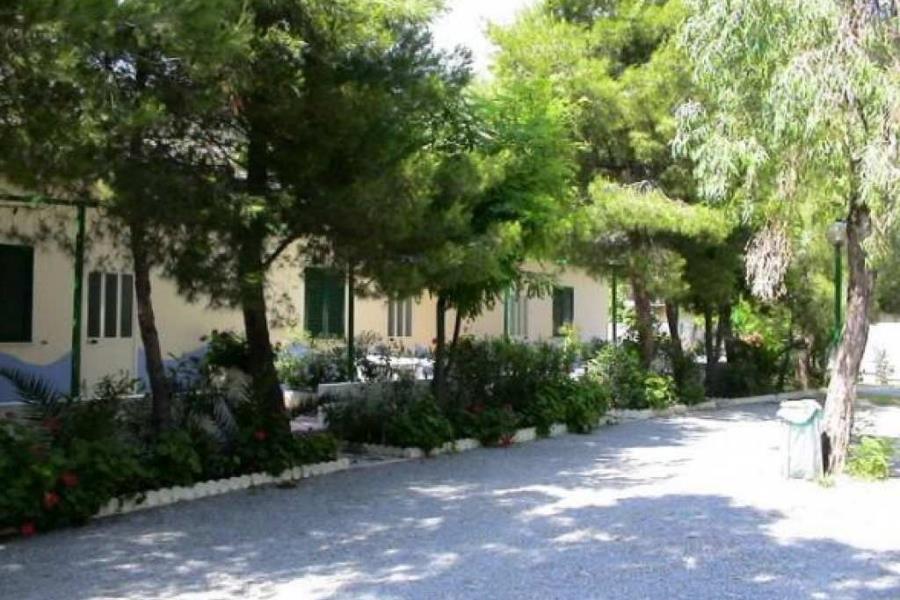 Camping Village International  – foto 5