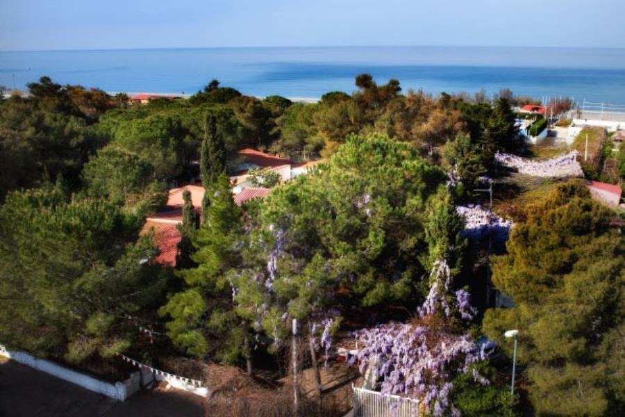 Villaggio Camping La Pantera Rosa  – photo 3