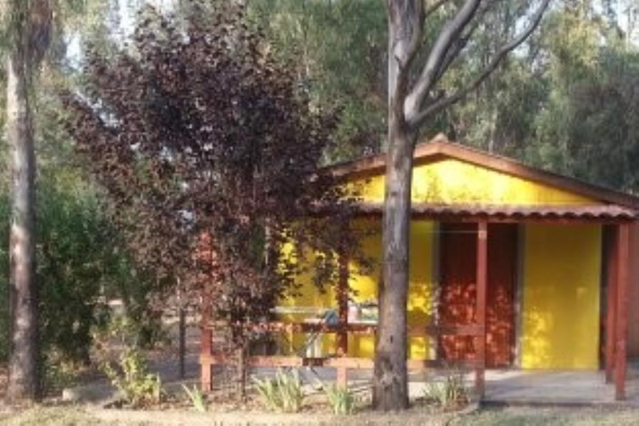 Camping Village Pineta di Sibari  – foto 15