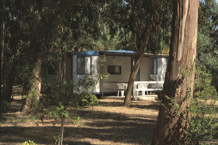 Camping Village Pineta di Sibari  – foto 6