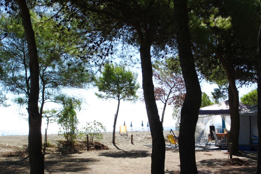 Camping Village Pineta di Sibari  – foto 7