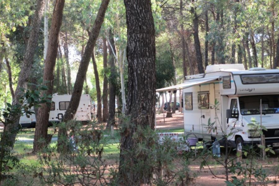Camping Village Pineta di Sibari  – foto 11