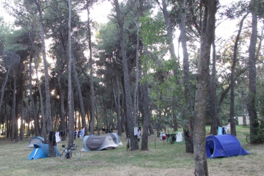 Camping Village Pineta di Sibari  – foto 14