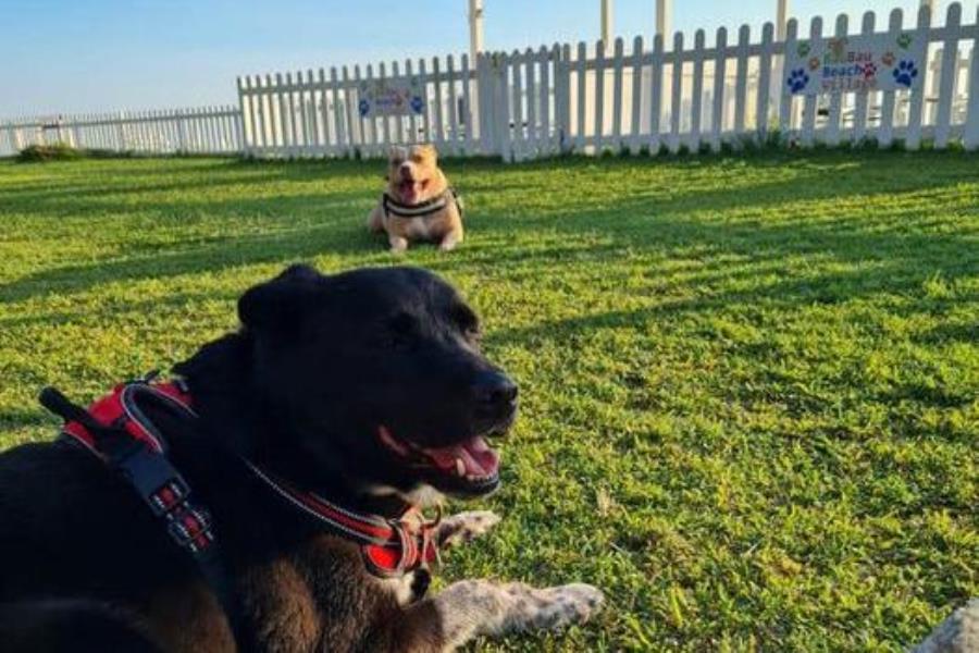 Bau Bau Beach Village – foto 8