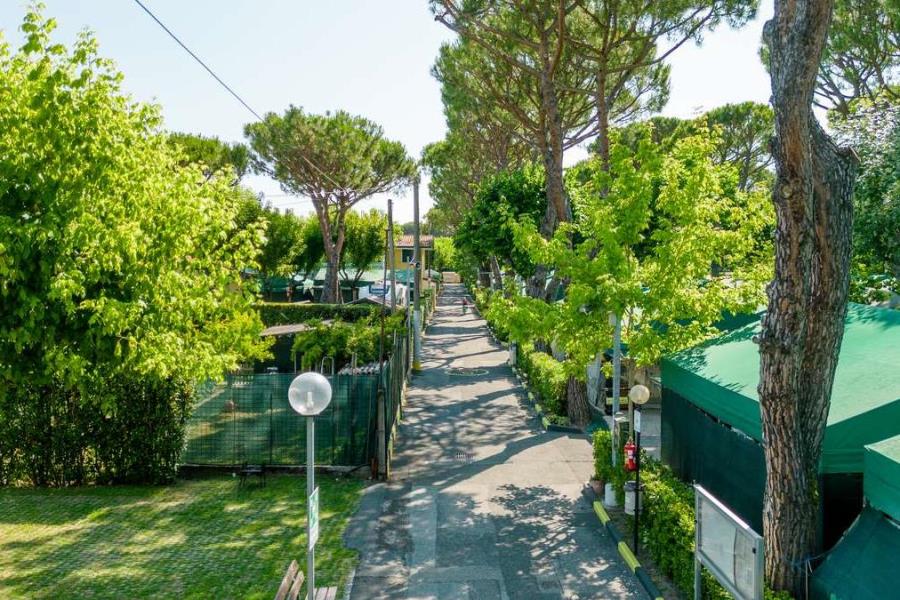 Camping Apuano  – foto 5