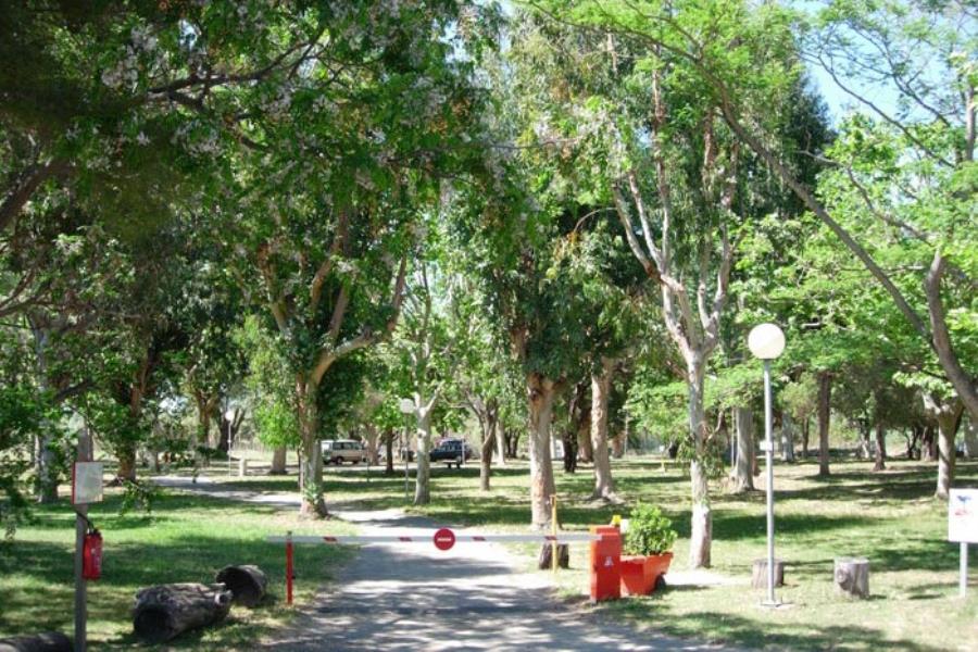 Camping D'Olzo  – Foto 2