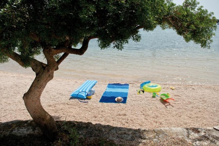 Camping Veštar  – foto 4