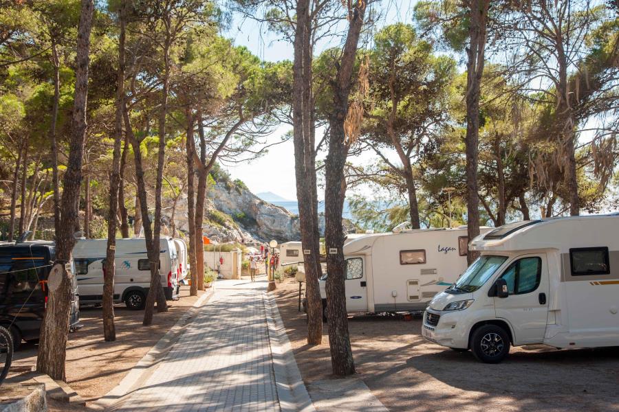 Camping Europa  – photo 2