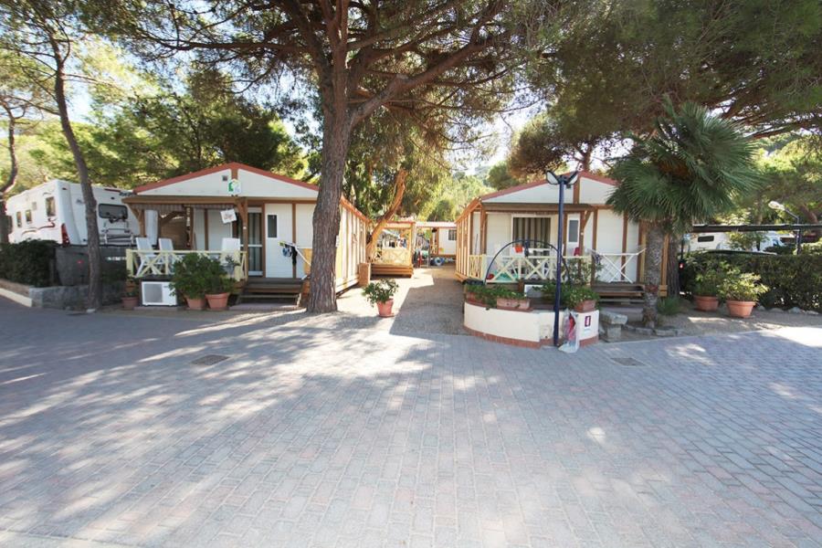 Camping La Foce  – foto 3