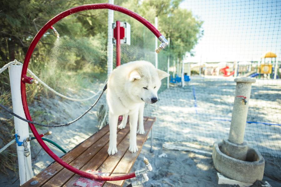 Adriano Family Camping Village – Foto 14