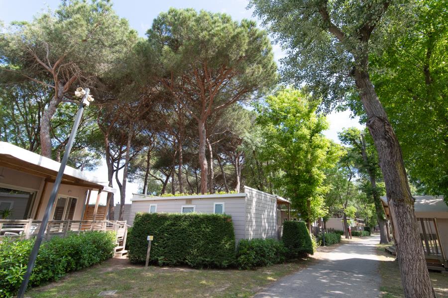 Adriano Family Camping Village – Foto 15
