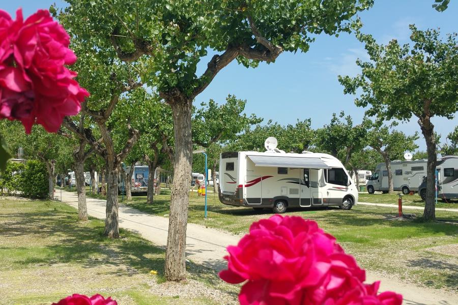Campeggio Adria  – Foto 4