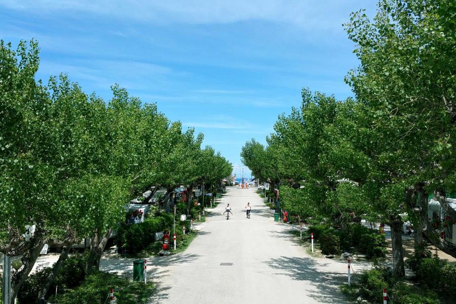 Campeggio Adria  – Foto 6