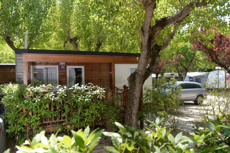 Camping Riccione – photo 17