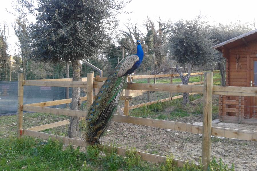 Centro Vacanze San Marino  – photo 9