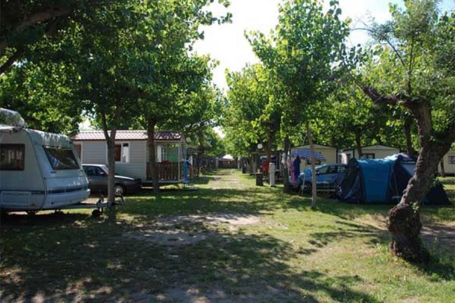 Camping Classe – foto 2