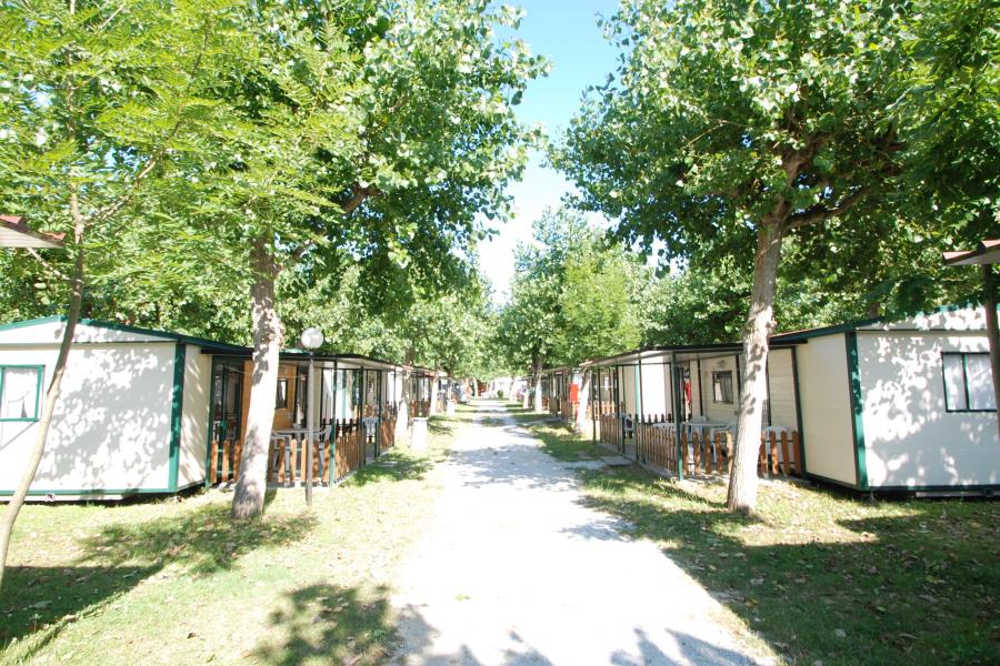 Camping Classe – foto 6