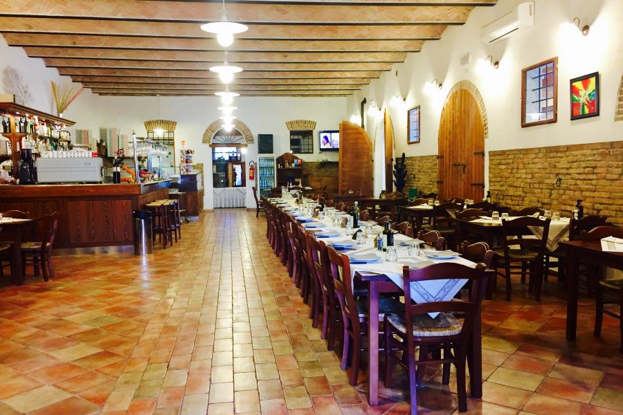 Camping Classe – foto 8