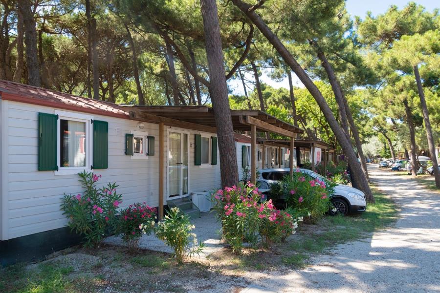 Camping Mare e Pineta  – Foto 9